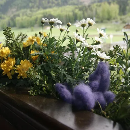 Abis Ferienwohnung Salzkammergut Strobl Exterior foto