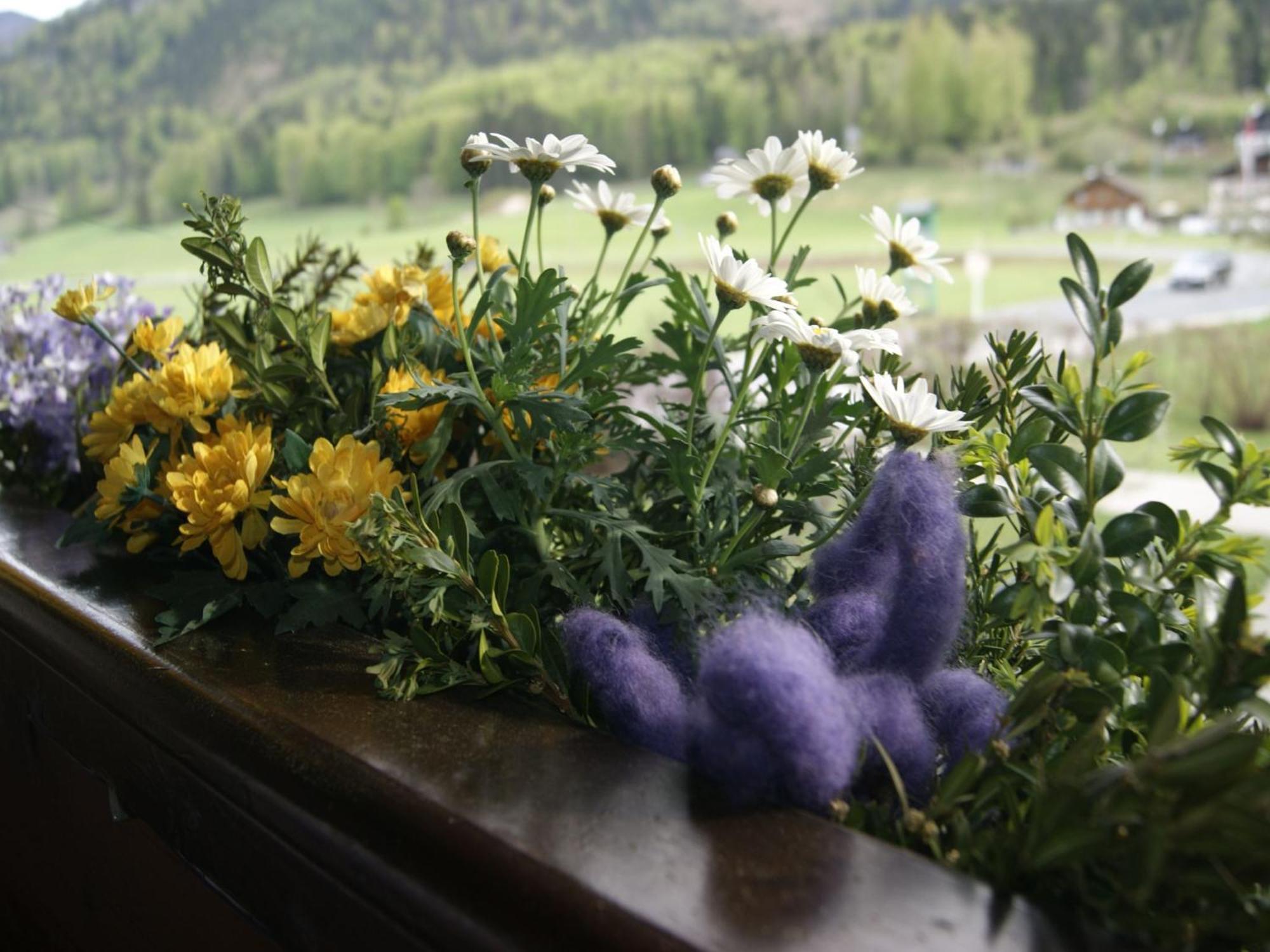 Apartment Abis Salzkammergut *