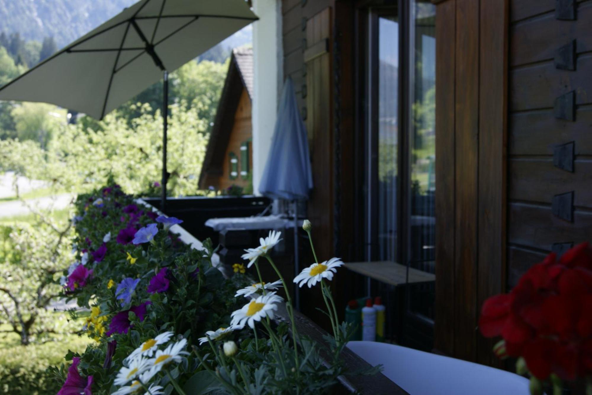 Abis Salzkammergut Apartment Strobl