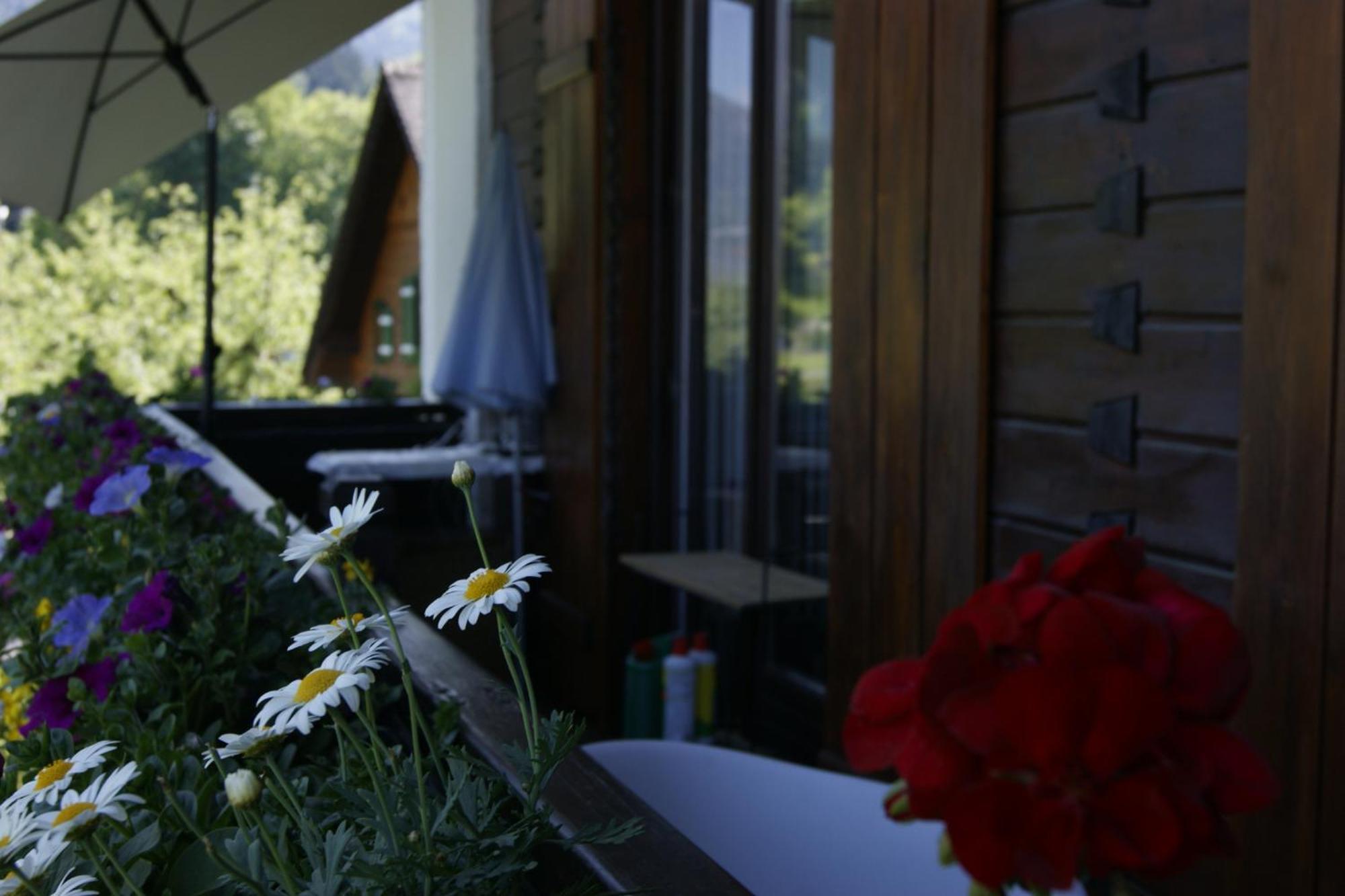 Abis Salzkammergut