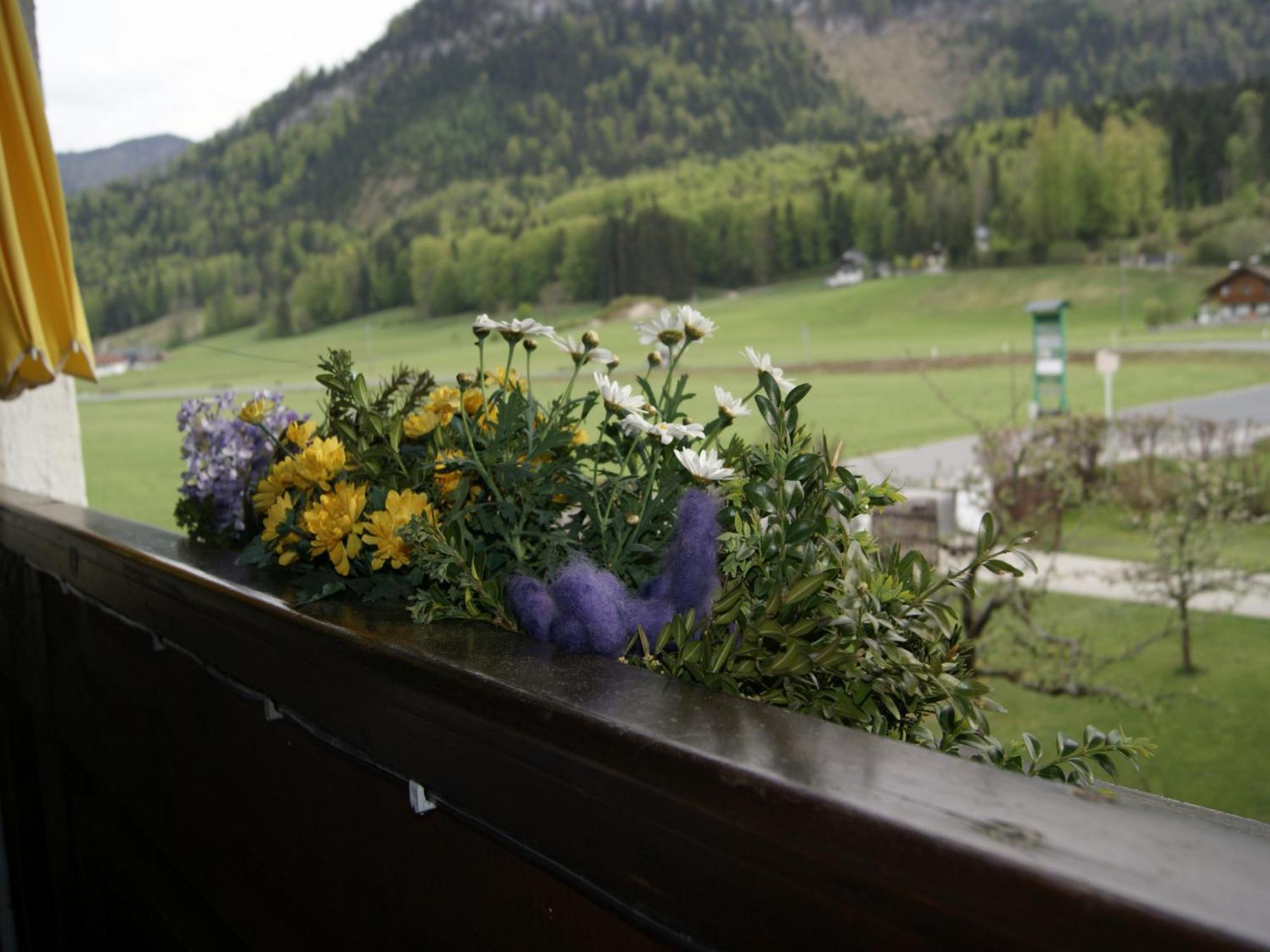 Abis Salzkammergut Strobl